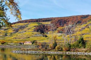 Wachau_550_366_Var2-de