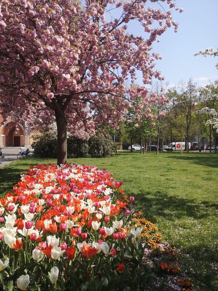 Der Frühling ist da