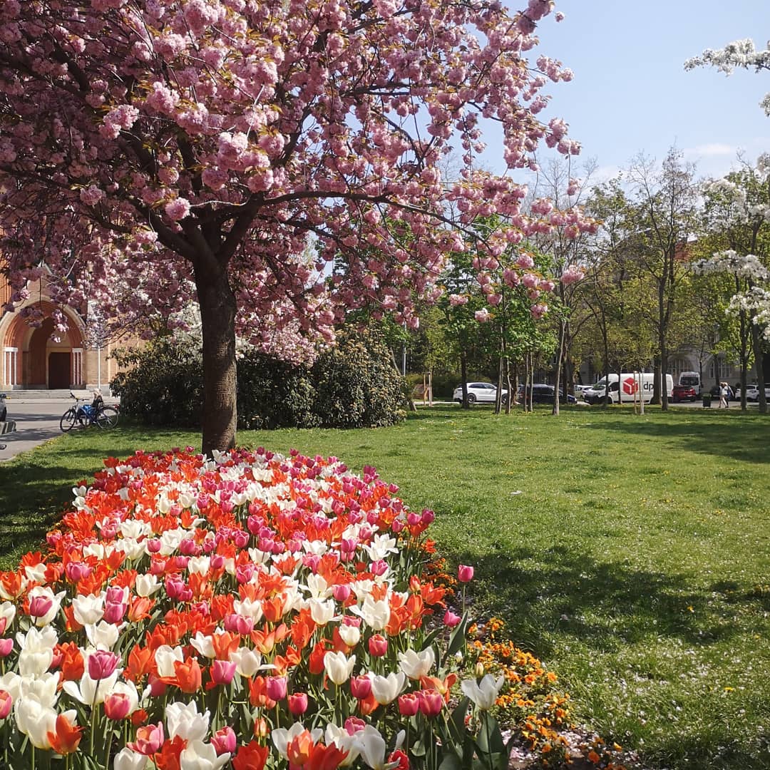 Read more about the article Kommen Sie mit nach draußen!