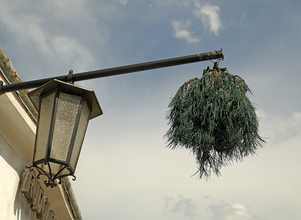 By Geolina163 - Own work, CC BY-SA 4.0, https://commons.wikimedia.org/w/index.php?curid=136493637