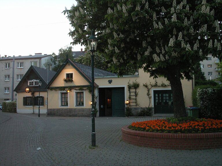 Read more about the article Das Wien-ABC
